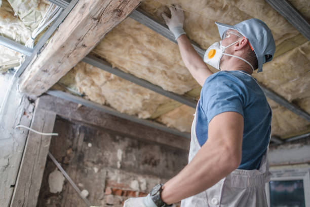 Best Commercial Insulation in Ridgely, TN