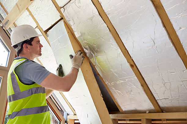 Best Energy Efficiency Solutions in Ridgely, TN